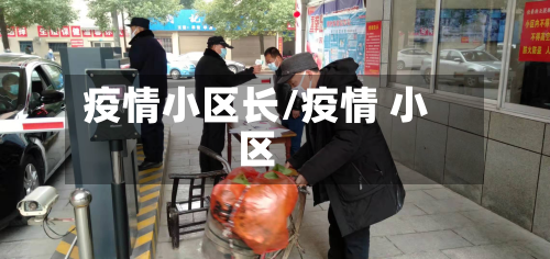 疫情小区长/疫情 小区