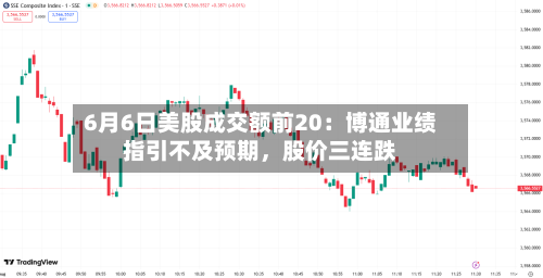 6月6日美股成交额前20：博通业绩指引不及预期，股价三连跌-第2张图片