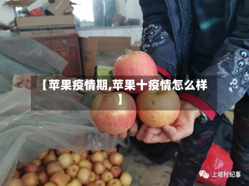 【苹果疫情期,苹果十疫情怎么样】-第2张图片