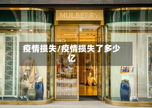 疫情损失/疫情损失了多少亿