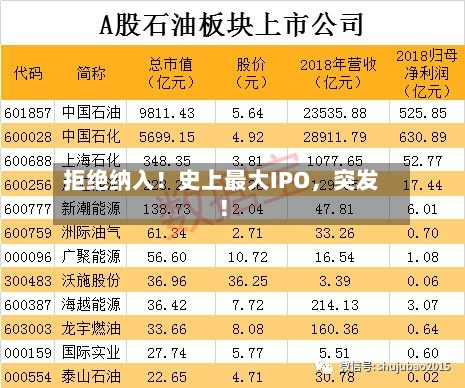 拒绝纳入！史上最大IPO	，突发！-第2张图片