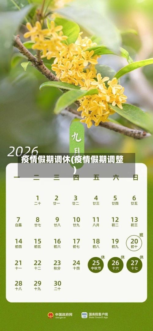 疫情假期调休(疫情假期调整)