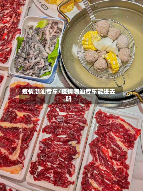 疫情潮汕专车/疫情潮汕专车能进去吗-第2张图片