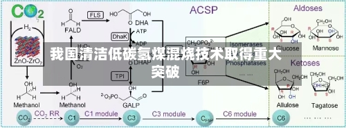 我国清洁低碳氢煤混烧技术取得重大突破