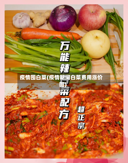 疫情囤白菜(疫情期间白菜费用涨价图)