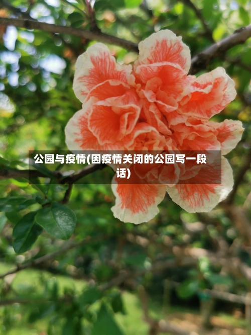 公园与疫情(因疫情关闭的公园写一段话)