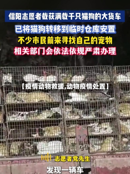 【疫情动物救援,动物疫情处置】