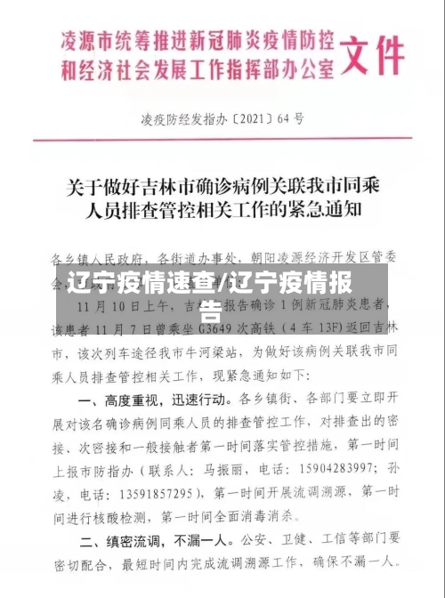 辽宁疫情速查/辽宁疫情报告-第2张图片
