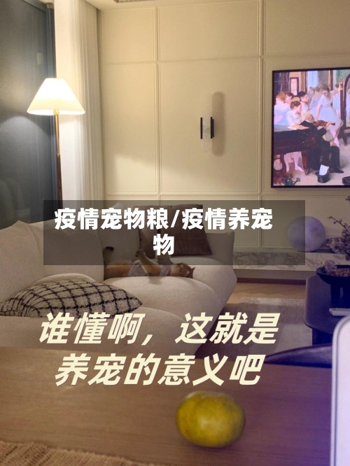疫情宠物粮/疫情养宠物-第2张图片