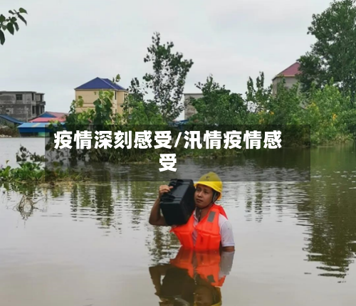 疫情深刻感受/汛情疫情感受