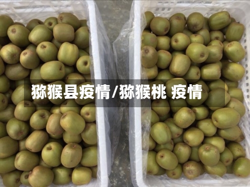 猕猴县疫情/猕猴桃 疫情-第3张图片