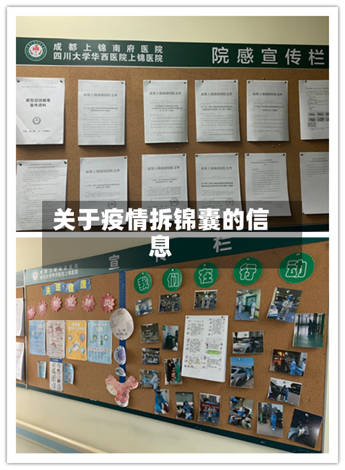 关于疫情拆锦囊的信息