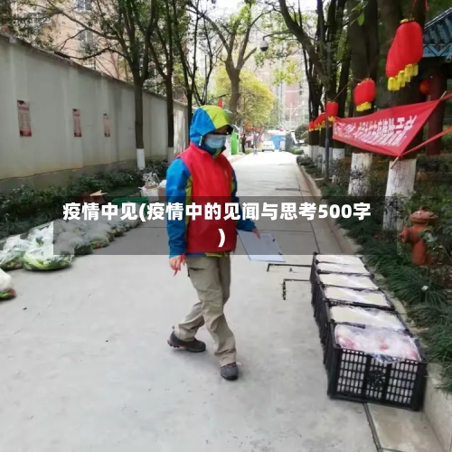 疫情中见(疫情中的见闻与思考500字)