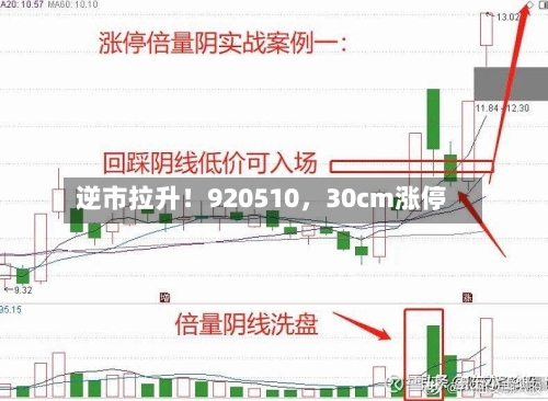 逆市拉升！920510，30cm涨停-第3张图片