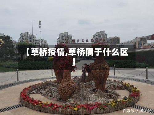 【草桥疫情,草桥属于什么区】