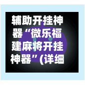 辅助开挂神器“微乐福建麻将开挂神器”(详细透视教程)-第2张图片