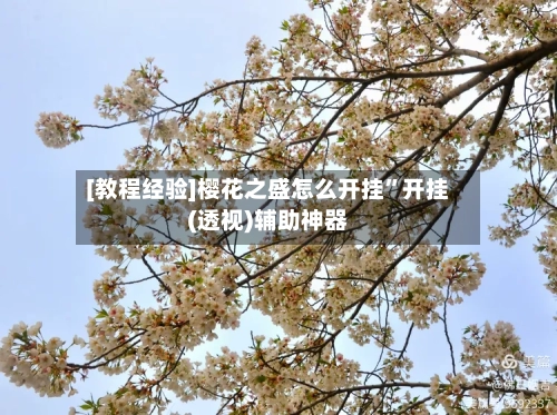 [教程经验]樱花之盛怎么开挂”开挂(透视)辅助神器-第2张图片