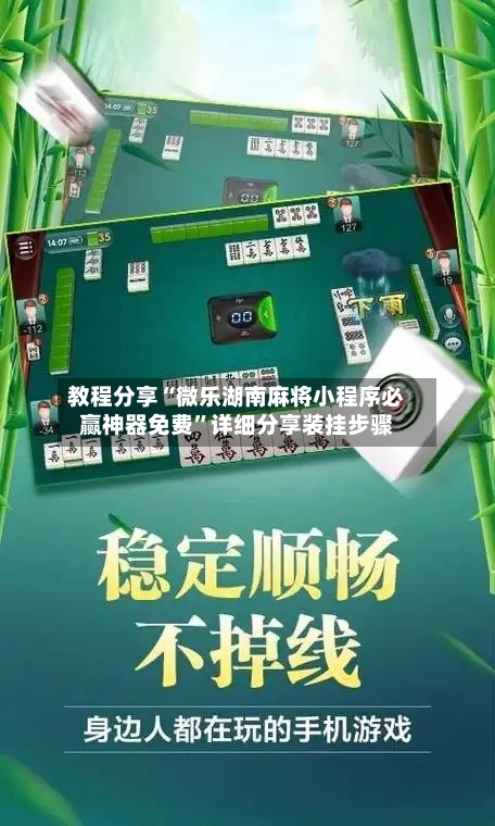 教程分享“微乐湖南麻将小程序必赢神器免费”详细分享装挂步骤-第2张图片