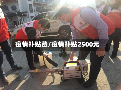 疫情补贴费/疫情补贴2500元