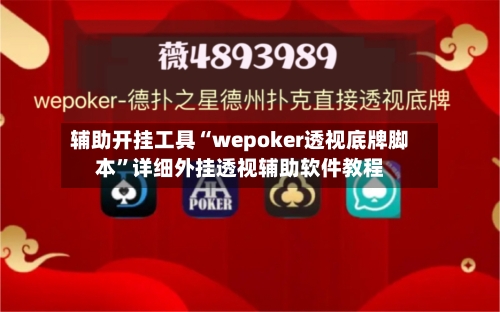 辅助开挂工具“wepoker透视底牌脚本”详细外挂透视辅助软件教程-第2张图片
