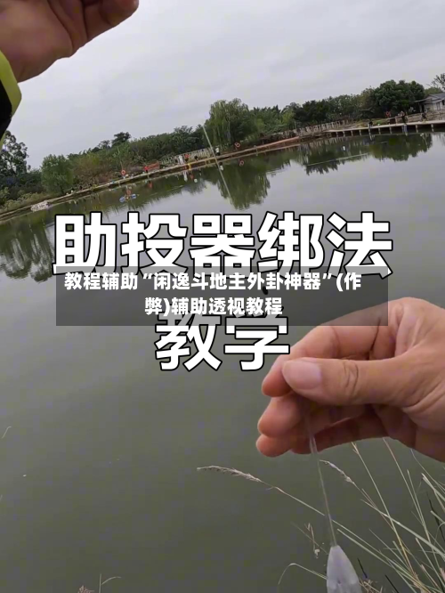 教程辅助“闲逸斗地主外卦神器”(作弊)辅助透视教程-第3张图片