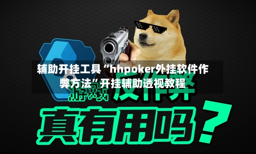 辅助开挂工具“hhpoker外挂软件作弊方法	”开挂辅助透视教程-第2张图片