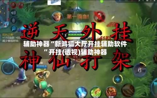 辅助神器“新鸿狐大厅开挂辅助软件”开挂(透视)辅助神器-第3张图片