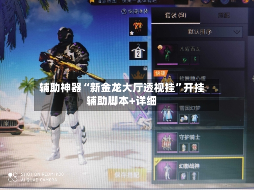 辅助神器“新金龙大厅透视挂”开挂辅助脚本+详细-第2张图片