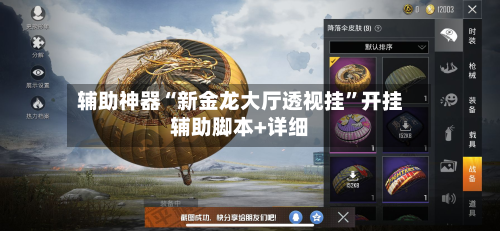 辅助神器“新金龙大厅透视挂	”开挂辅助脚本+详细-第3张图片