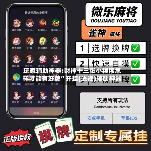 玩家辅助神器:财神十三张小程序怎样才能有好牌”开挂(透视)辅助神器-第3张图片