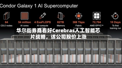 华尔街券商看好Cerebras人工智能芯片战略，该公司股价上涨-第2张图片