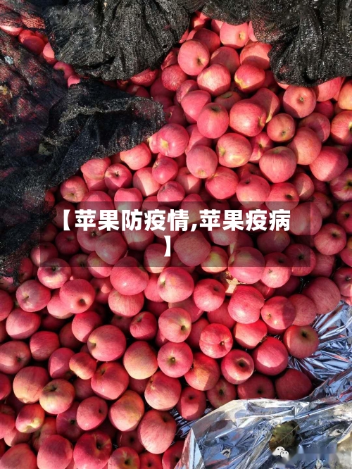 【苹果防疫情,苹果疫病】