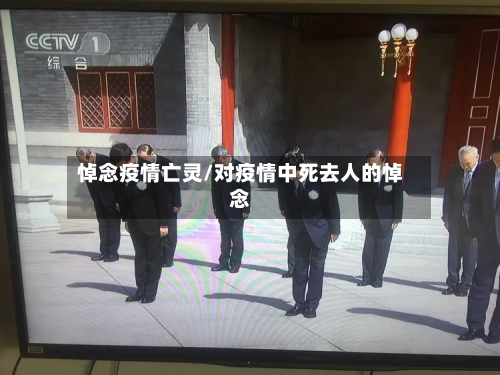 悼念疫情亡灵/对疫情中死去人的悼念-第3张图片