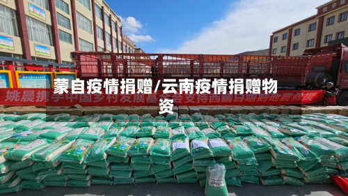 蒙自疫情捐赠/云南疫情捐赠物资