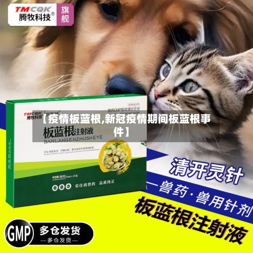 【疫情板蓝根,新冠疫情期间板蓝根事件】-第2张图片