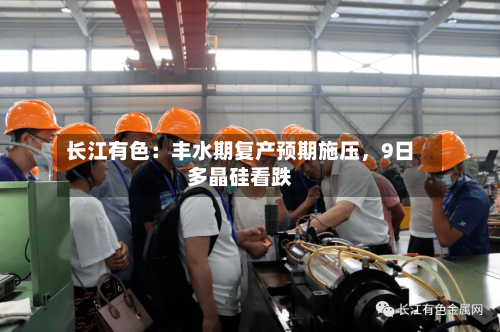 长江有色：丰水期复产预期施压，9日多晶硅看跌-第3张图片