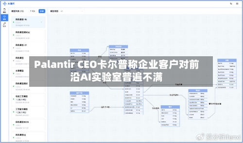 Palantir CEO卡尔普称企业客户对前沿AI实验室普遍不满