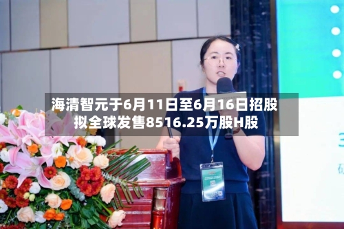 海清智元于6月11日至6月16日招股 拟全球发售8516.25万股H股-第2张图片