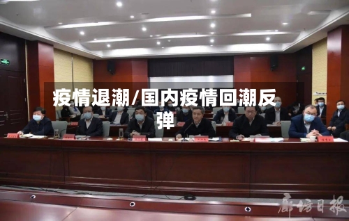 疫情退潮/国内疫情回潮反弹-第2张图片