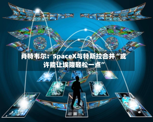 肖特韦尔：SpaceX与特斯拉合并“或许能让埃隆轻松一点”