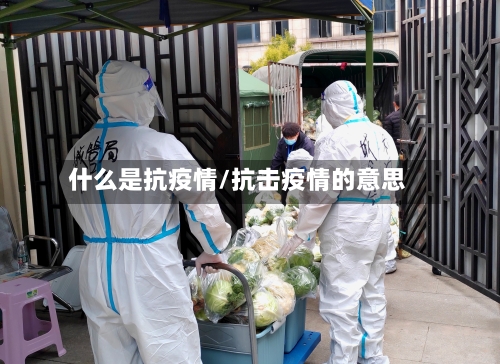 什么是抗疫情/抗击疫情的意思-第2张图片
