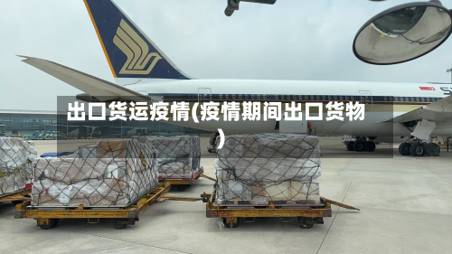 出口货运疫情(疫情期间出口货物)-第2张图片