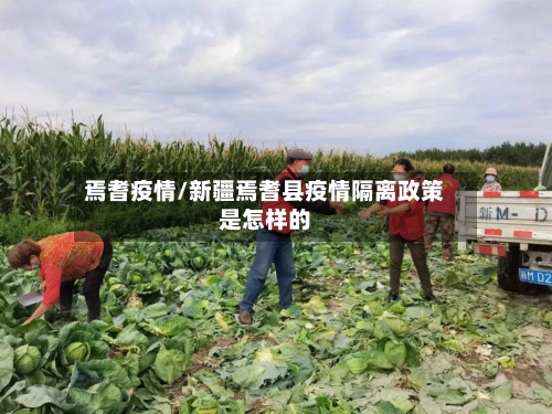焉耆疫情/新疆焉耆县疫情隔离政策是怎样的-第2张图片