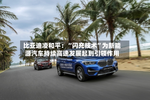 比亚迪凌和平：“闪充技术”为新能源汽车持续高速发展起到引领作用-第3张图片