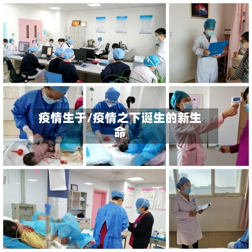 疫情生于/疫情之下诞生的新生命-第2张图片
