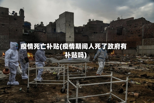 疫情死亡补贴(疫情期间人死了政府有补贴吗)-第2张图片