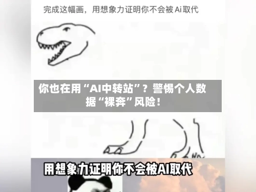 你也在用“AI中转站	”？警惕个人数据“裸奔”风险！-第3张图片