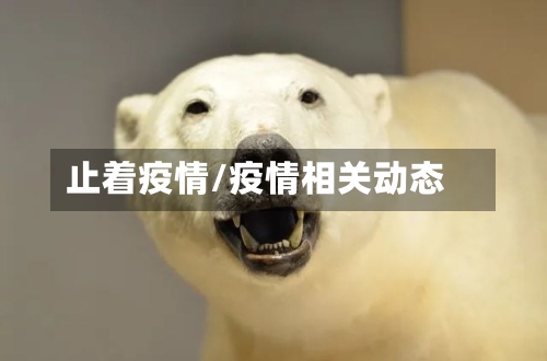 止着疫情/疫情相关动态-第2张图片