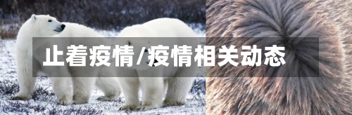 止着疫情/疫情相关动态-第3张图片
