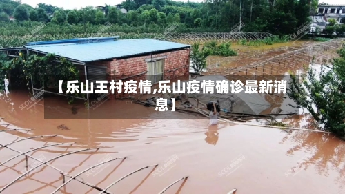 【乐山王村疫情,乐山疫情确诊最新消息】